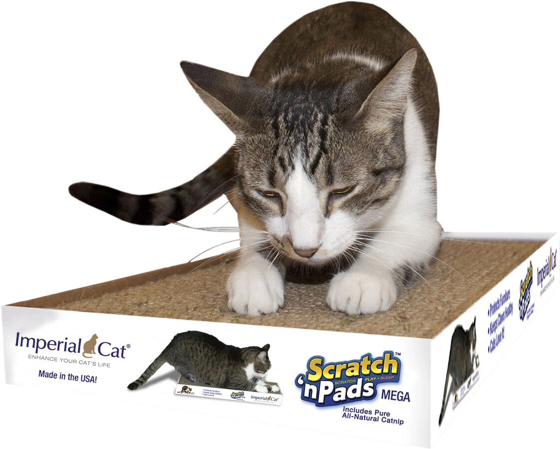 SB1 ICmegacatscratcher.jpg